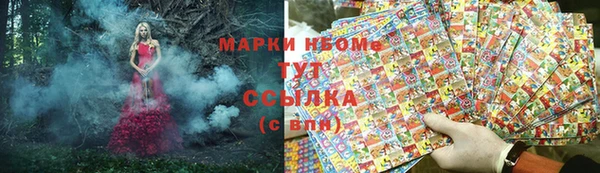 ПСИЛОЦИБИНОВЫЕ ГРИБЫ Алзамай
