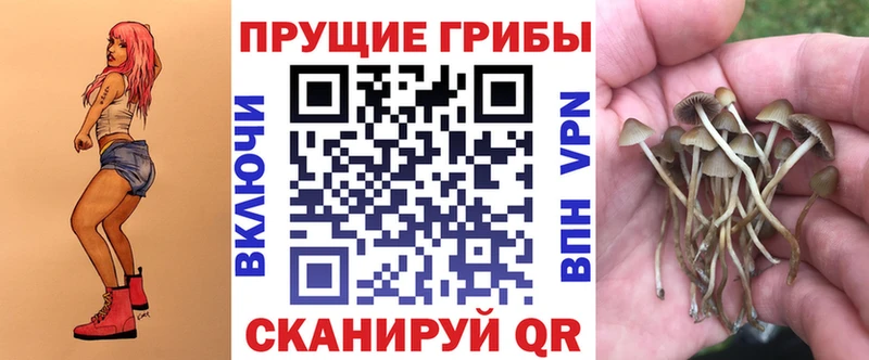 продажа наркотиков  Павлово  Псилоцибиновые грибы Magic Shrooms 
