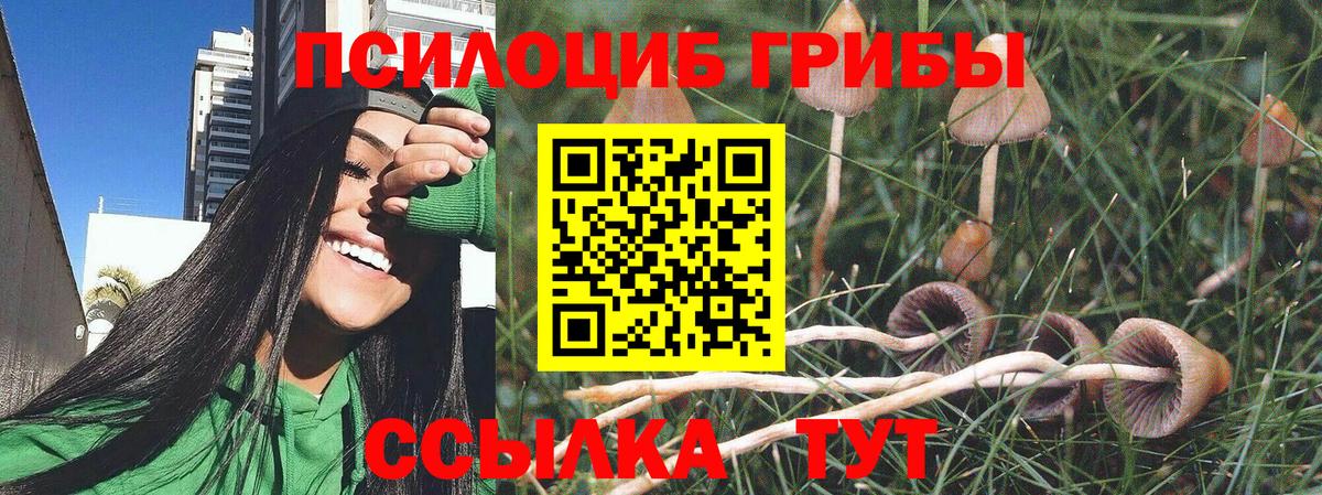 Галлюциногенные грибы MAGIC MUSHROOMS  Псилоцибиновые грибы мухоморы  Павлово  Вход с VPN 