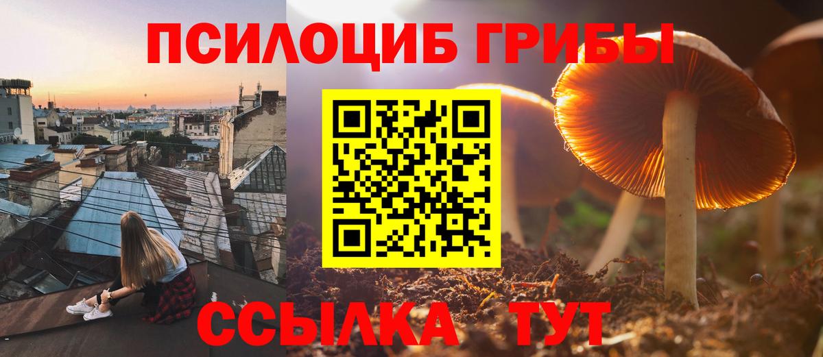 Галлюциногенные грибы Psilocybine cubensis Павлово