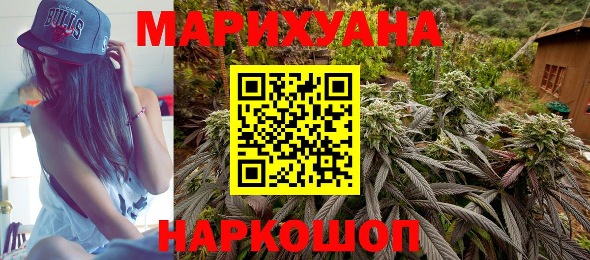 Каннабис планчик Павлово
